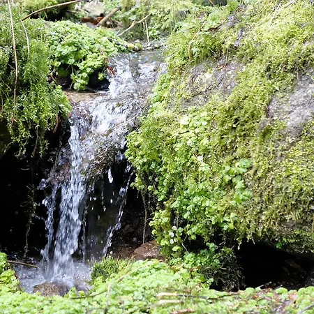 Dreilanderblick Herrischried