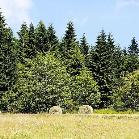 Dreilanderblick Daire *