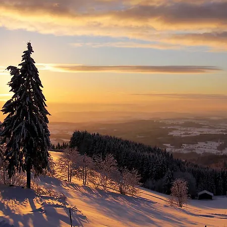 Dreilanderblick Herrischried