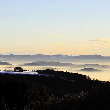 Daire Dreilanderblick